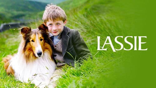 Lassie kehrt zurück Bild 4