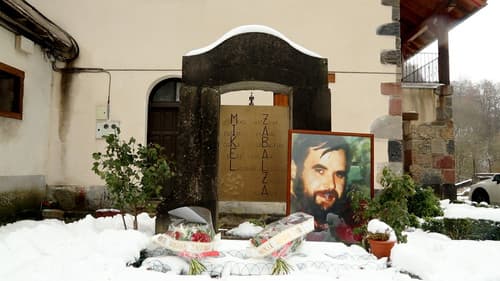 Non dago Mikel? Bild 4