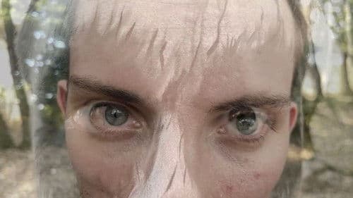 Statusbericht Bild 4