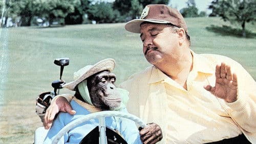 How to Commit Marriage Bild 1