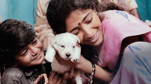 தோனிமா Bild 1