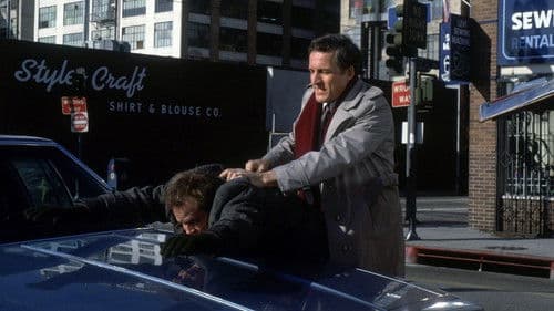 Polizeirevier Hill Street Bild 4