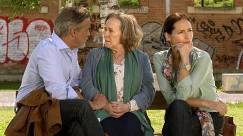 Os Gatos Não Têm Vertigens Bild 3