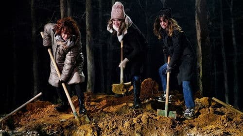 Olağan Şüpheliler Bild 4