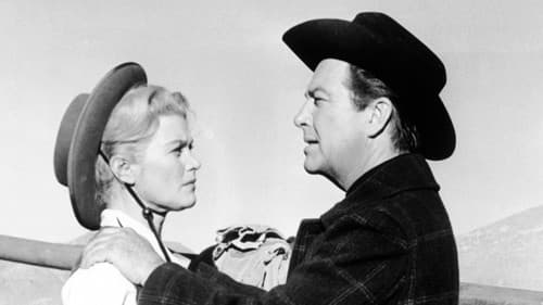 Revolverhelden von Wyoming Bild 2