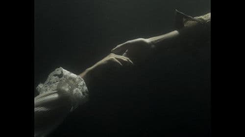 La canción del pantano Bild 1