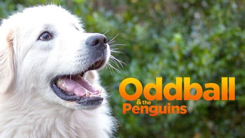 Oddball - Retter der Pinguine Bild 8