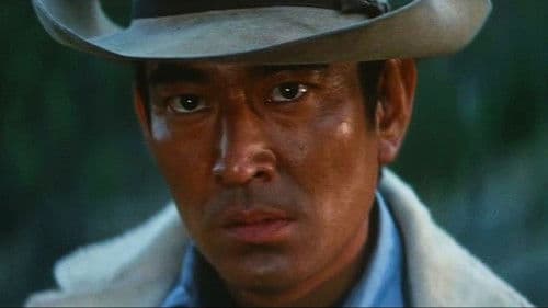 荒野の渡世人 Bild 2