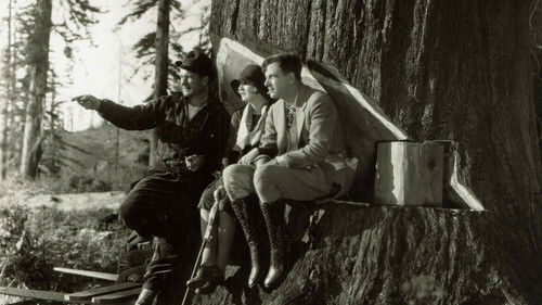 Burning Daylight Bild 1