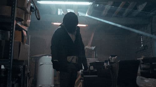 Anonymous Animals Bild 3