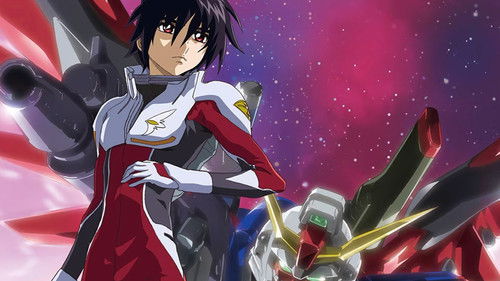 機動戦士ガンダムSEED DESTINY スペシャルエディション 砕かれた世界 Bild 3