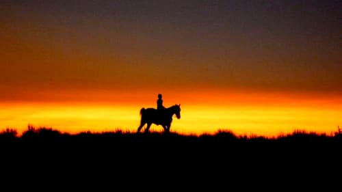 Hollywood-Indianer Bild 2