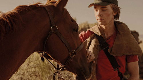 Lean on Pete Bild 3