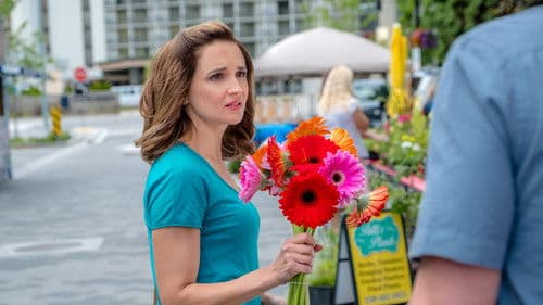 Summer in the Vineyard Bild 6