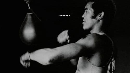 Teofilo: Boxing's Most Revolutionary Champion Bild 1