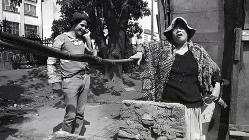 Brasileiras e Brasileiros Bild 1