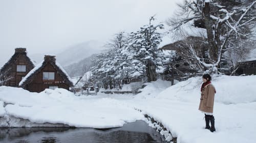 冬天，最后的碎片 Bild 4