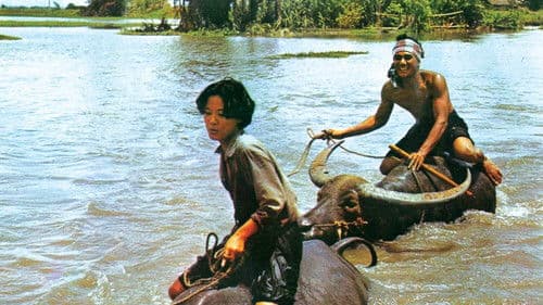 แผลเก่า Bild 4