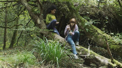 Summer in the Shade Bild 1