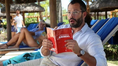 Qualquer Gato Vira-Lata 2 Bild 4