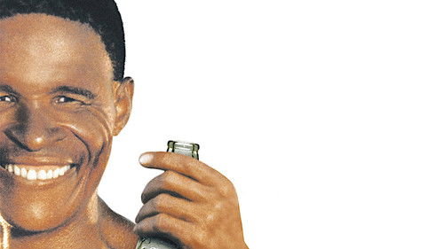 Die Götter müssen verrückt sein Bild 8