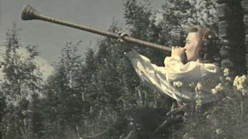 On the track to the midnight sun Bild 1