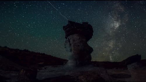 The Bad Batch Bild 5