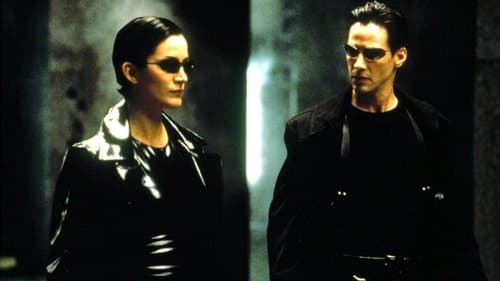 Matrix Bild 7