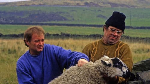 Raining Stones Bild 1