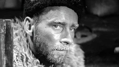 Błękitny krzyż Bild 3