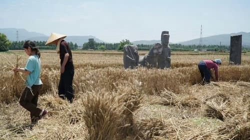 你的眼睛比太阳明亮 Bild 6