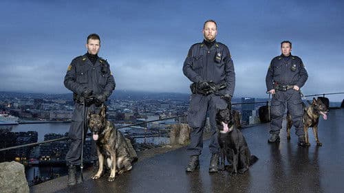Hundepatruljen Oslo Bild 1