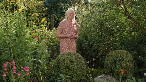 Rosamunde Pilcher: Die Muschelsucher Bild 5