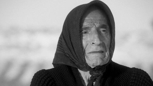 Tierra de nuestras madres Bild 3