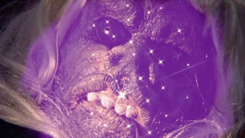 The Alien Factor Bild 8