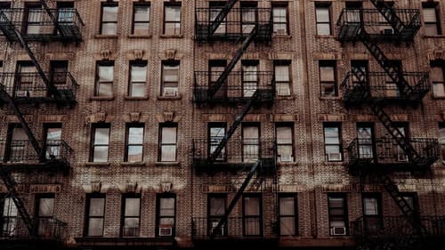 Great Photo, Lovely Life Bild 2