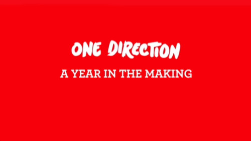 One Direction: A Year in the Making Bild 2