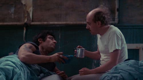 Zwei Fische auf dem Trockenen Bild 6