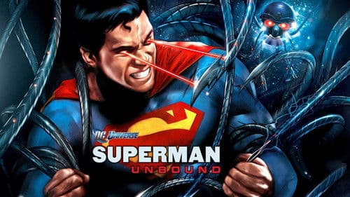 Superman: Unbound Bild 2
