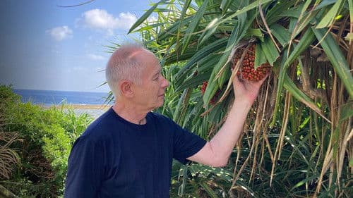 Barakan Discovers Bild 2