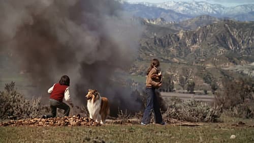 Lassie - Ein neuer Anfang Bild 2