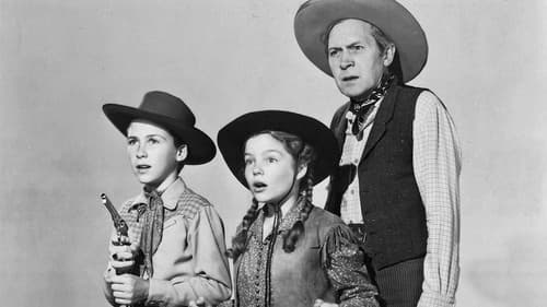 Buckaroo Sheriff of Texas Bild 1