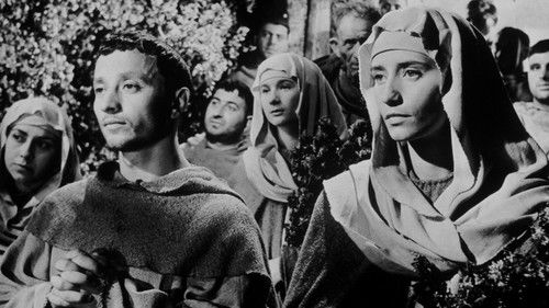 Franziskus, der Gaukler Gottes Bild 4