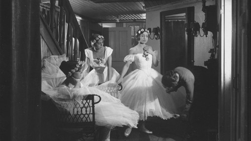 Polnisch Blut Bild 1