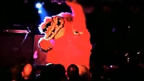 Dinosaur Jr: Live in the Middle East Bild 1