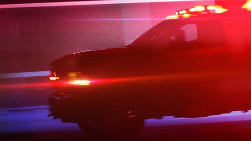 Live Rescue - Immer im Einsatz Bild 1