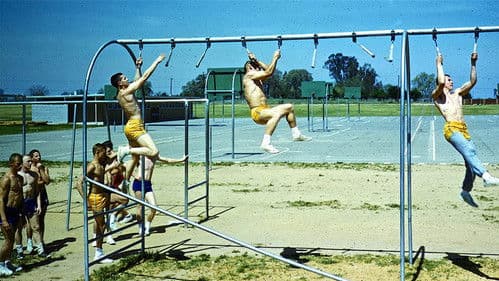 The Motivation Factor: to Become Smart, Productive & Mentally Stable Bild 1