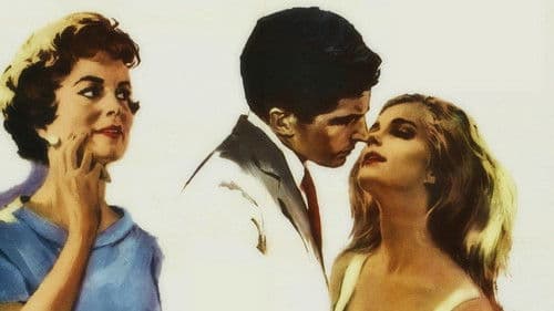 Licht auf der Piazza Bild 5