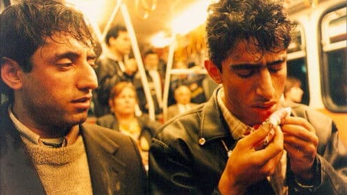 Reise zur Sonne Bild 3