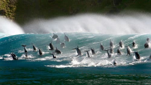 Unser blauer Planet II Bild 3